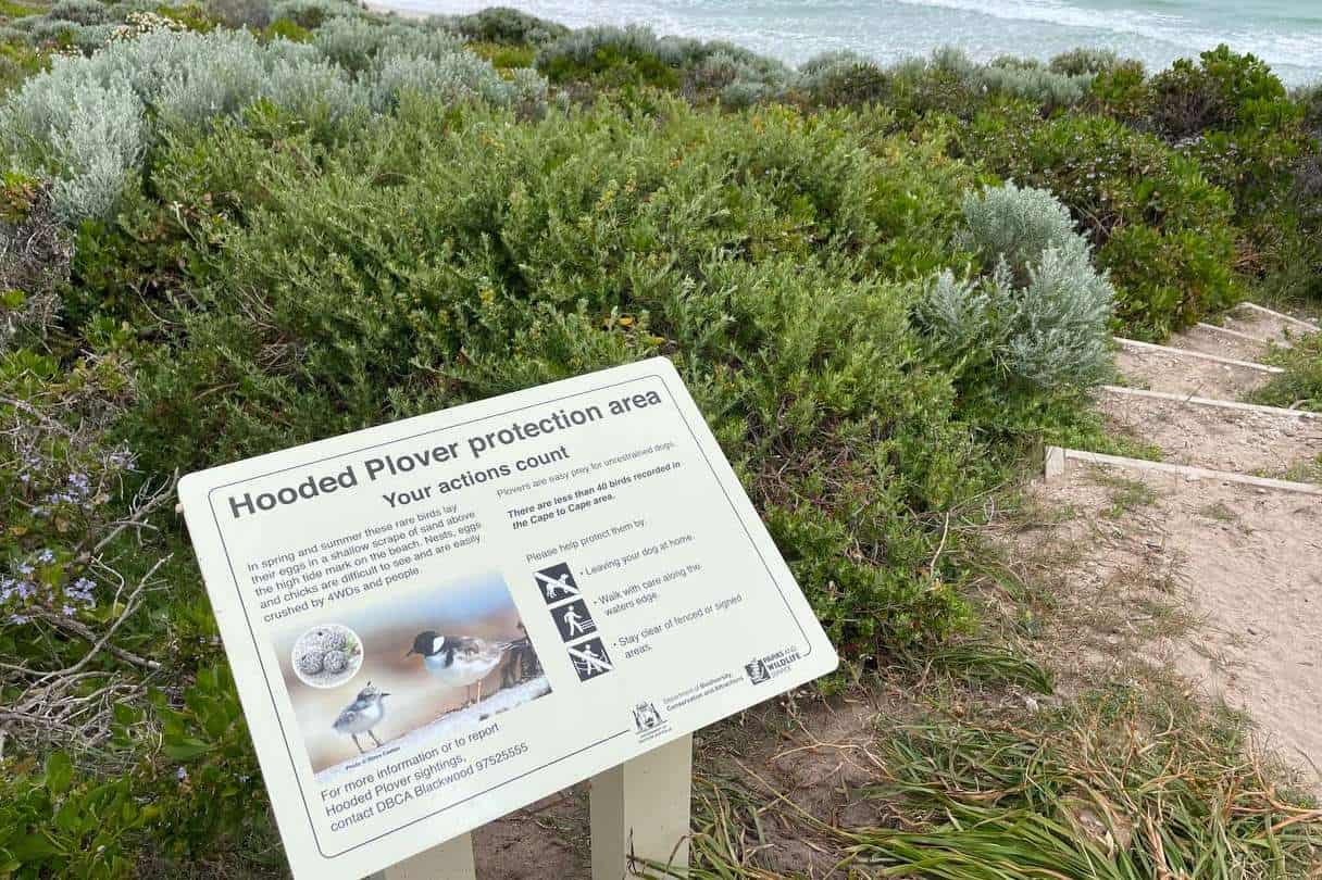 Sign showing hooded plover information on a MArgaret River 4WD track