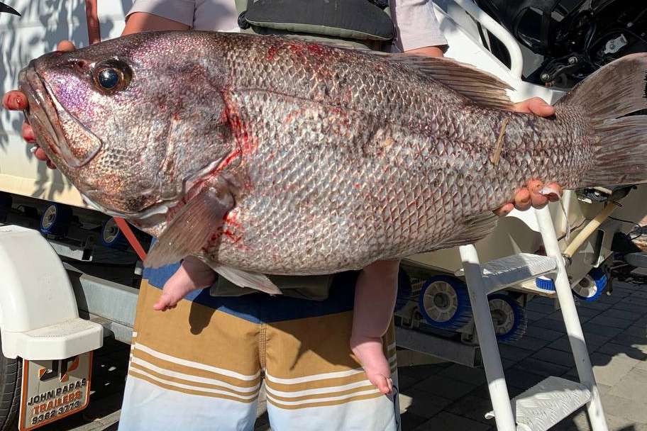 A person holds a large, freshly caught dhufish, showcasing a successful catch from a fishing trip in Margaret River, with the details of the fish's scales and colors in clear view