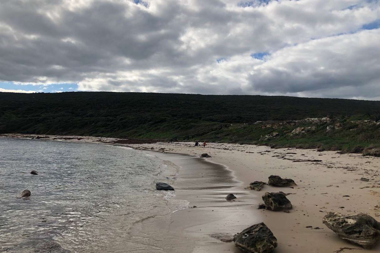 An overcast day at a secluded Margaret River beach, Quarry Bay, with a dense cover of shrubs on a hillside and scattered rocks on the sandy shore, a tranquil spot for shore fishing or contemplative walks.