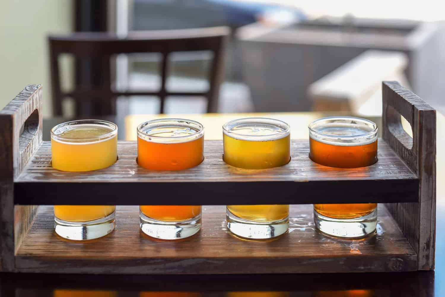 A tasting paddle at a Margaret River Brewery, featuring small glasses of different types of beer lined up on a wooden board.