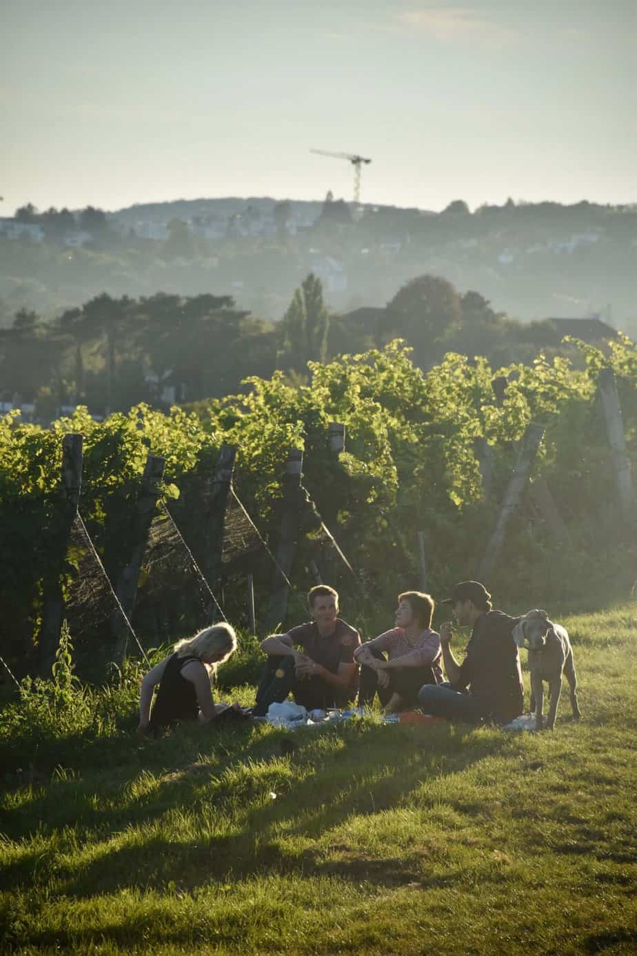 group of friends sitting by a vineyard and enjoying dog-friendly wineries in Margaret River
