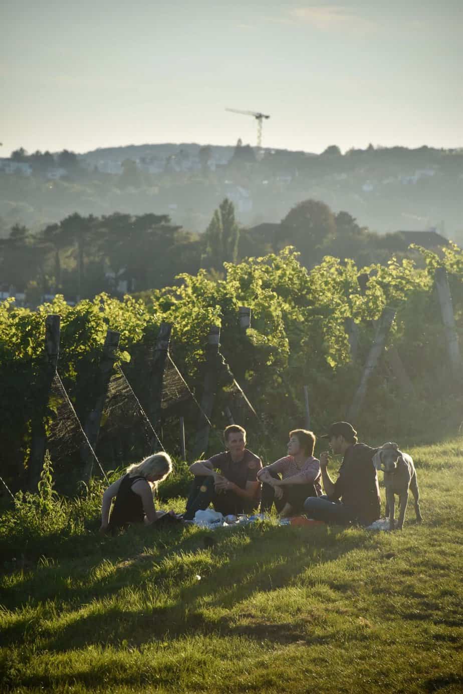 group of friends sitting by a vineyard and enjoying dog-friendly wineries in Margaret River