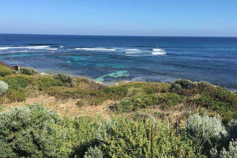Scenic coastal landscape with lush greenery in the foreground, clear turquoise waters with gentle waves, and a deep blue sky above, a lovely view if you're looking for Margaret River beach accommodation.