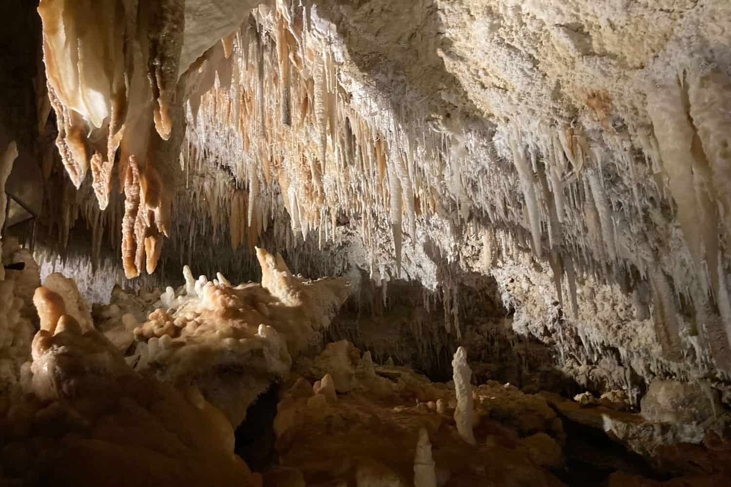 Stalactites and stalagmites adorn the ancient limestone caves of Margaret River, a hidden underground world revealing the area's geological history.