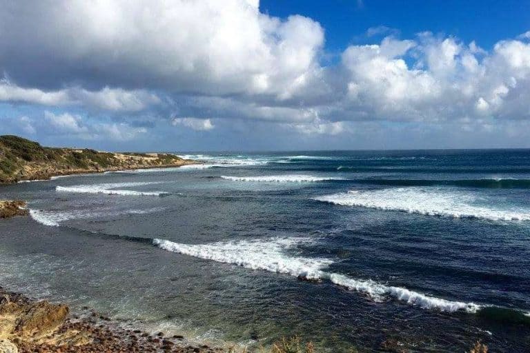 Your Ultimate Guide To Catching Dhufish: Locals Guide (2023)