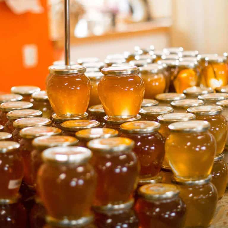 4+ Sweet Spots to Find Margaret River Honey (Locals Guide 2024)