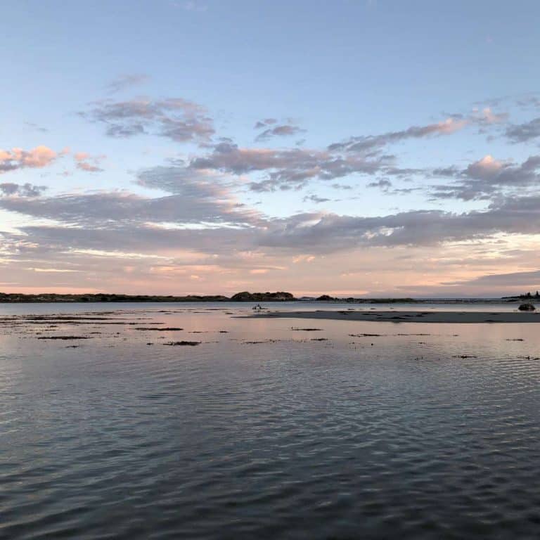Blackwood River Fishing: Locals Guide (2023)