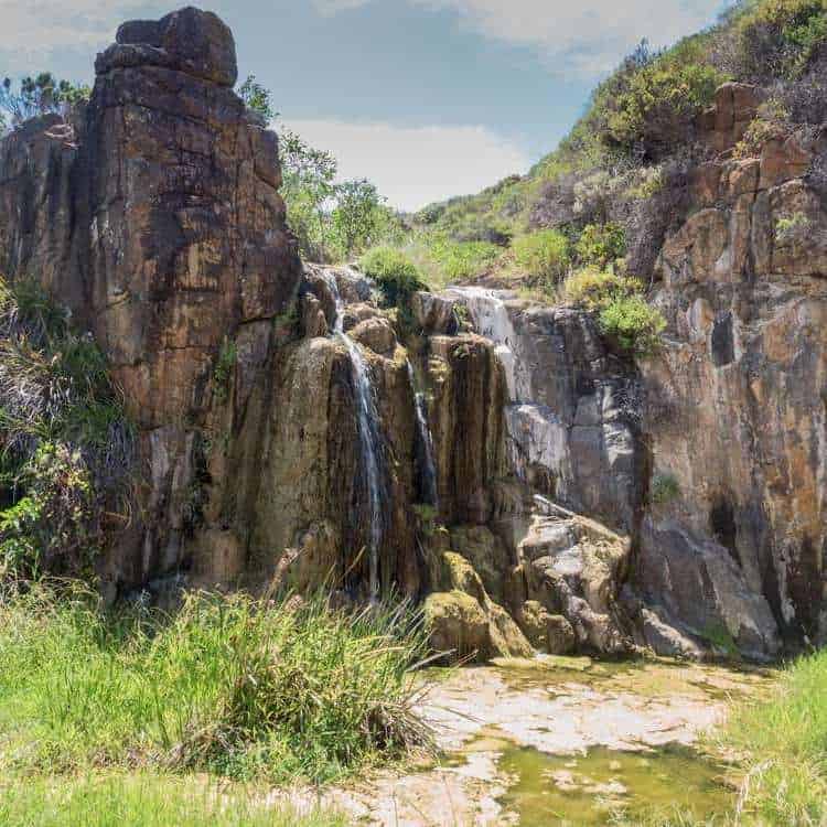 Quinninup Falls: Locals Guide (2023)