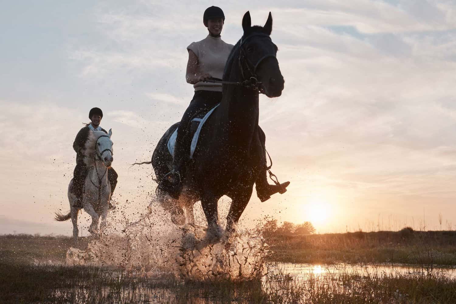 two riders horse riding in margaret river with the sun setting in the background