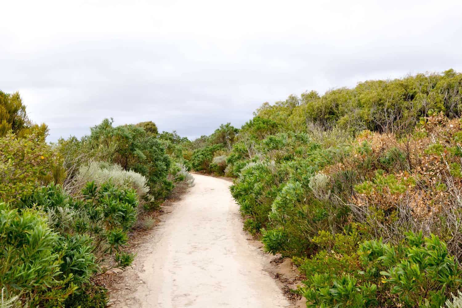 View of the Cape to Cape Track