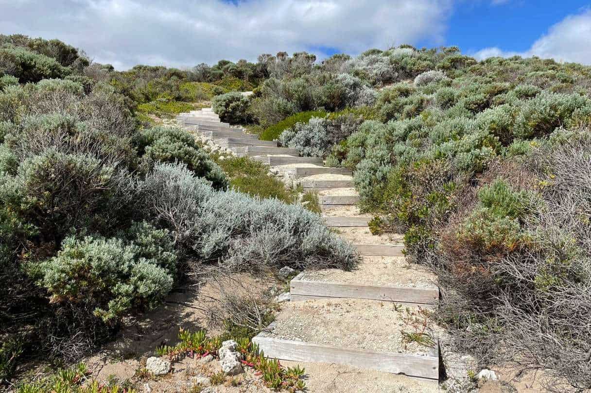 View back up the stairs at Gnoocardup Beach