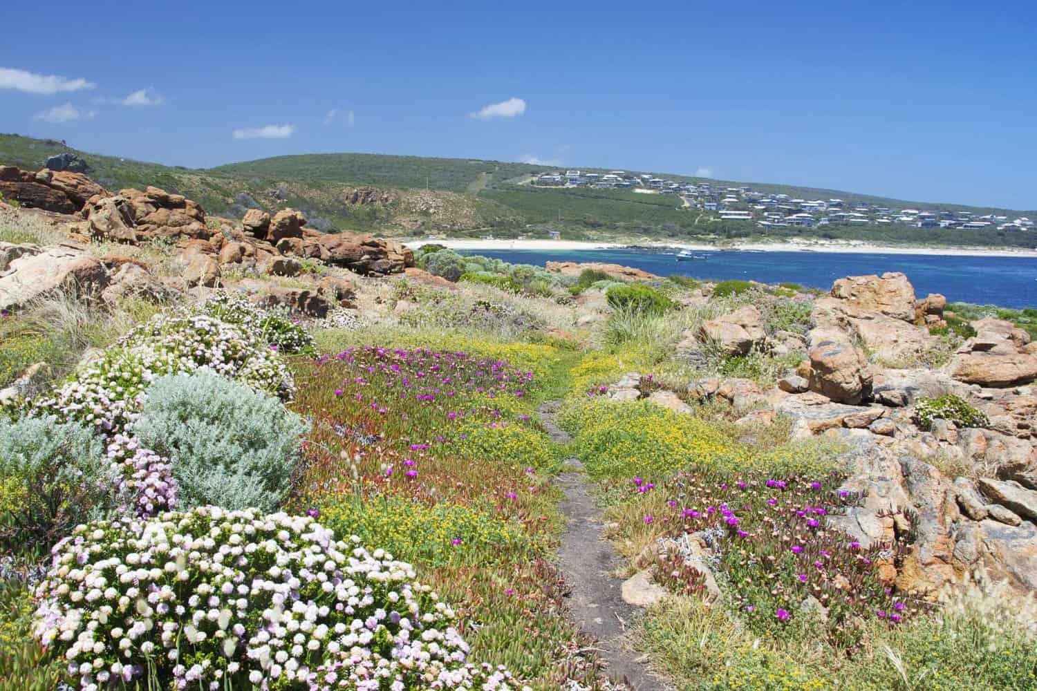 Margaret River coastline - Cape to Cape walk accommodation