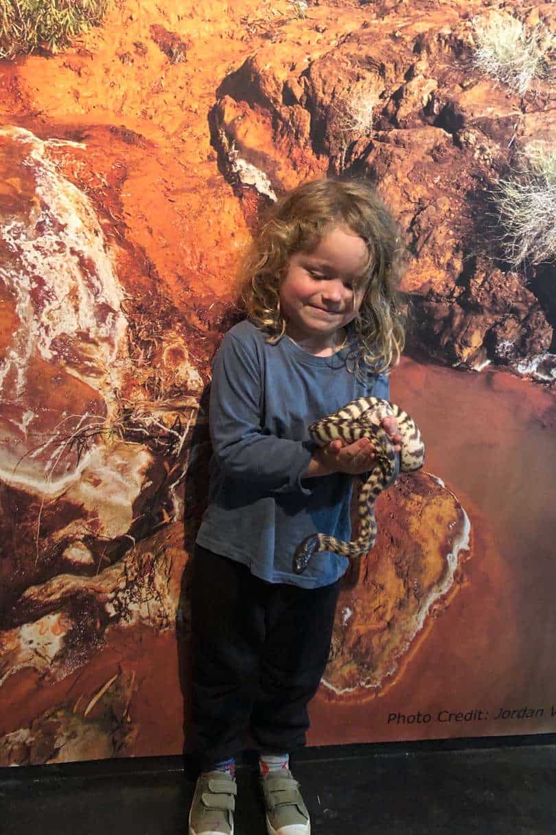 boy holding a snake at discover deadly