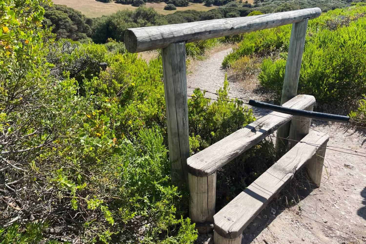 A rustic wooden stile crossing over a fence on a sandy trail surrounded by lush greenery, leading towards the Wilyabrup sea cliffs region under bright sunlight.