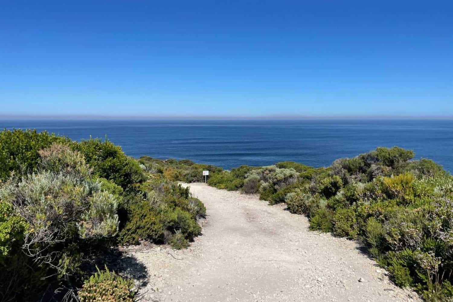 A tranquil sandy trail leading through coastal scrub with a serene view of the Indian Ocean on the horizon, near the Wilyabrup Sea Cliffs.