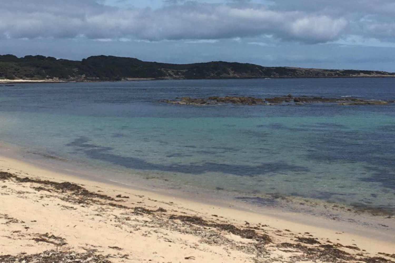 Gentle turquoise waters meet the sandy shore with scattered seaweed, overlooking a peaceful cove near Margaret River, perfect for a dog-friendly beach day.