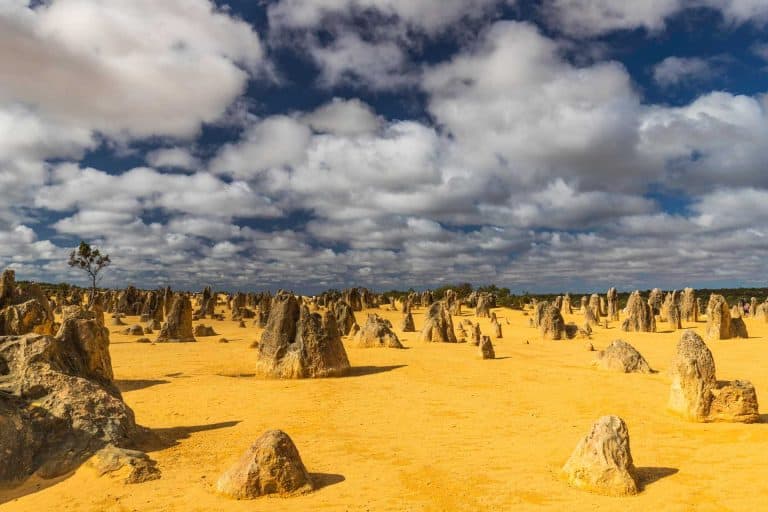 13 THINGS TO DO Road Trip Perth To The Pinnacles [2023]