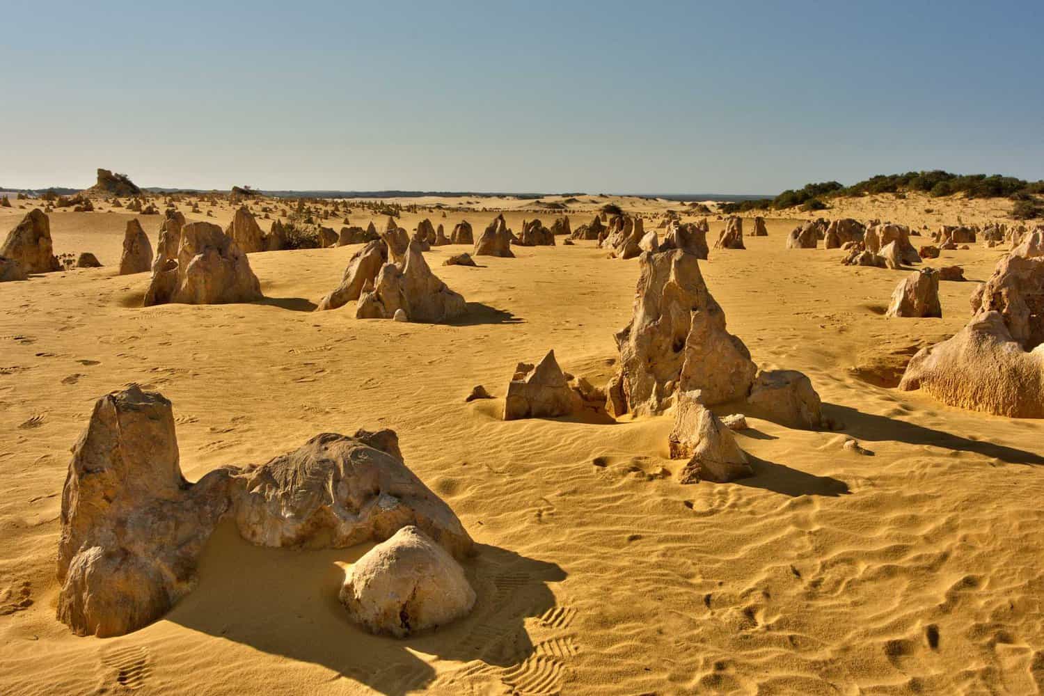 the pinnacles in WA, perth to the pinnacles road trip