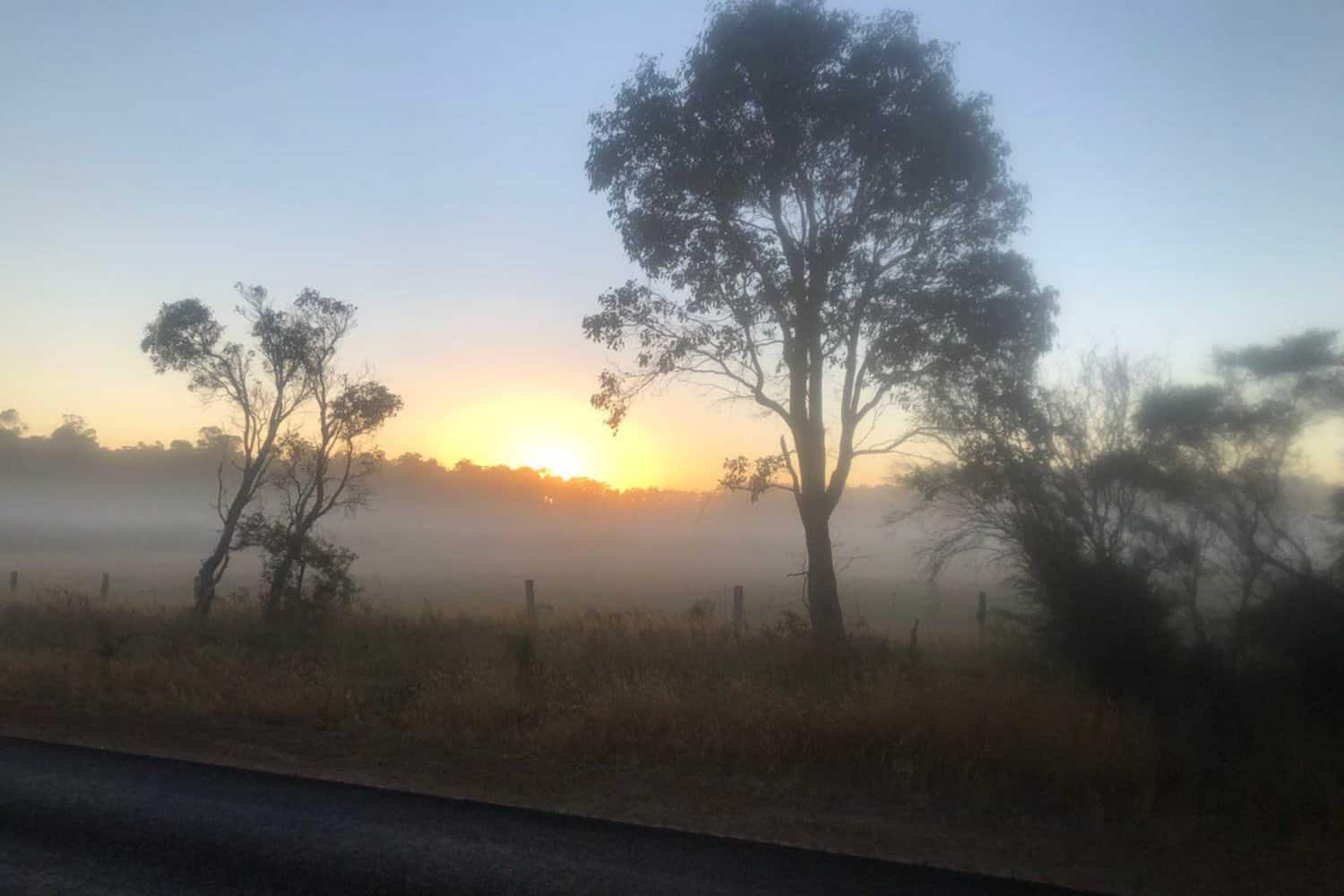 Sunrise in the Australian countryside with a misty field and eucalyptus trees silhouetted against the brightening sky, viewed from the roadside, evoking the tranquility of early morning in rural Australia.