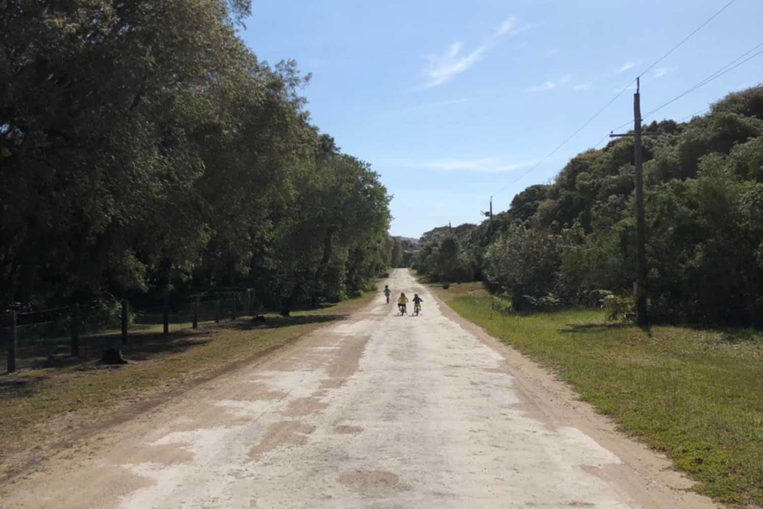 Two cyclists on a serene, tree-lined rural road in the Margaret River area, enjoying a sunny day of outdoor activity surrounded by lush greenery.