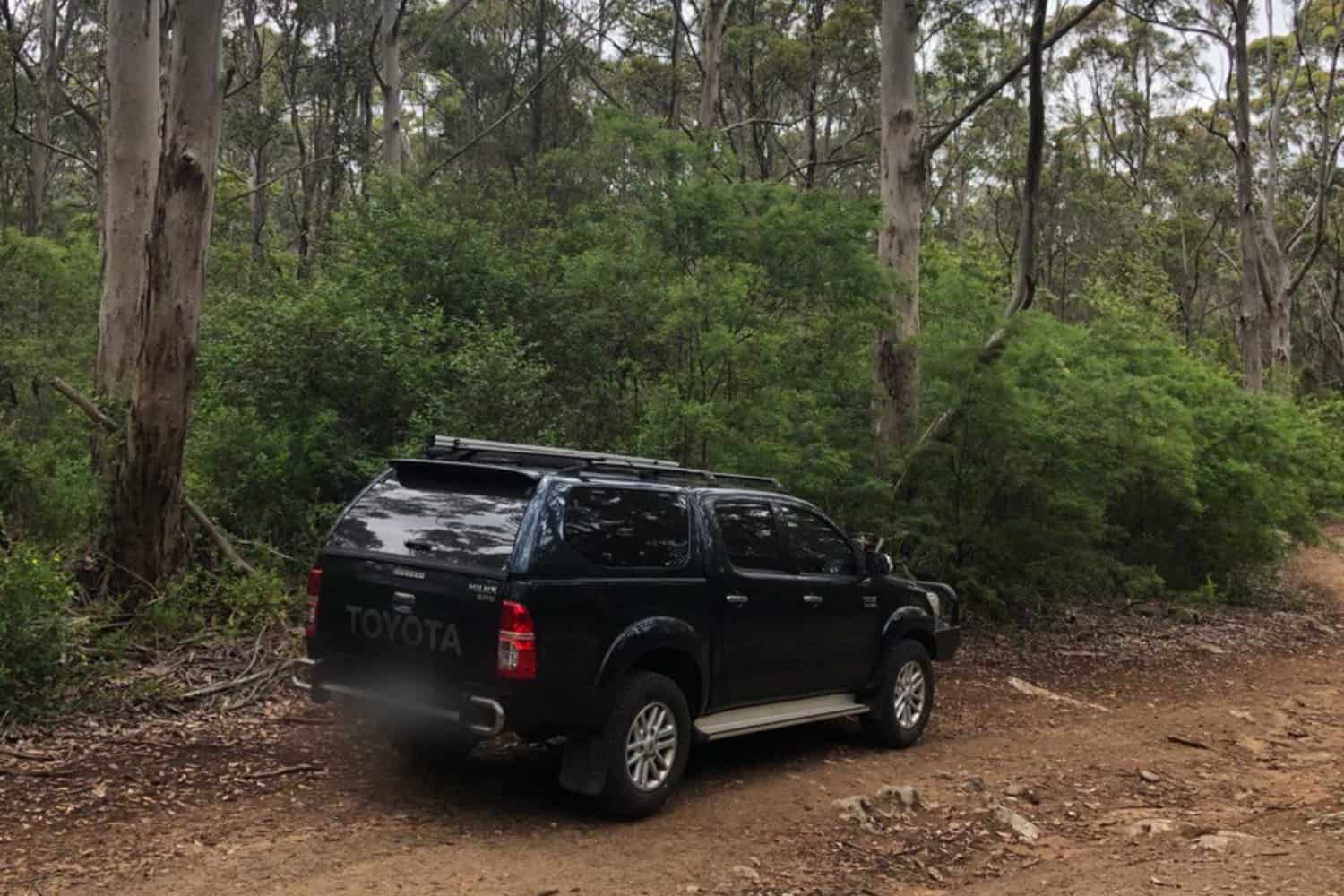A black Toyota SUV parked on a dirt road in the dense bushland of Margaret River, indicating an adventurous excursion into the natural wilderness.