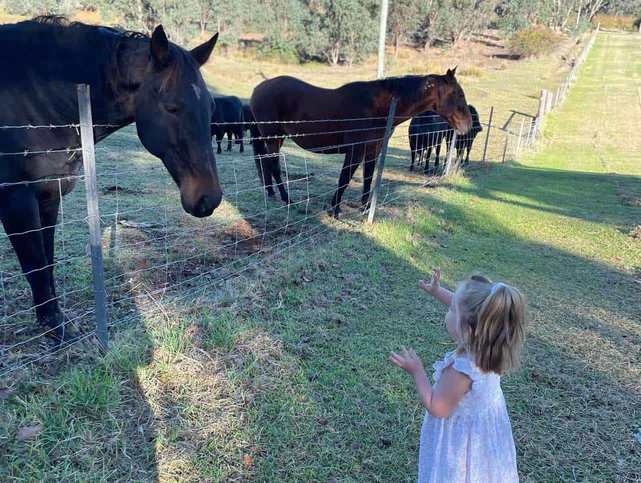 A young girl stands at a farmstay Perth, gazing at a group of horses grazing in a paddock. The horses are framed by a picturesque countryside backdrop, creating a serene and idyllic farmstay experience.