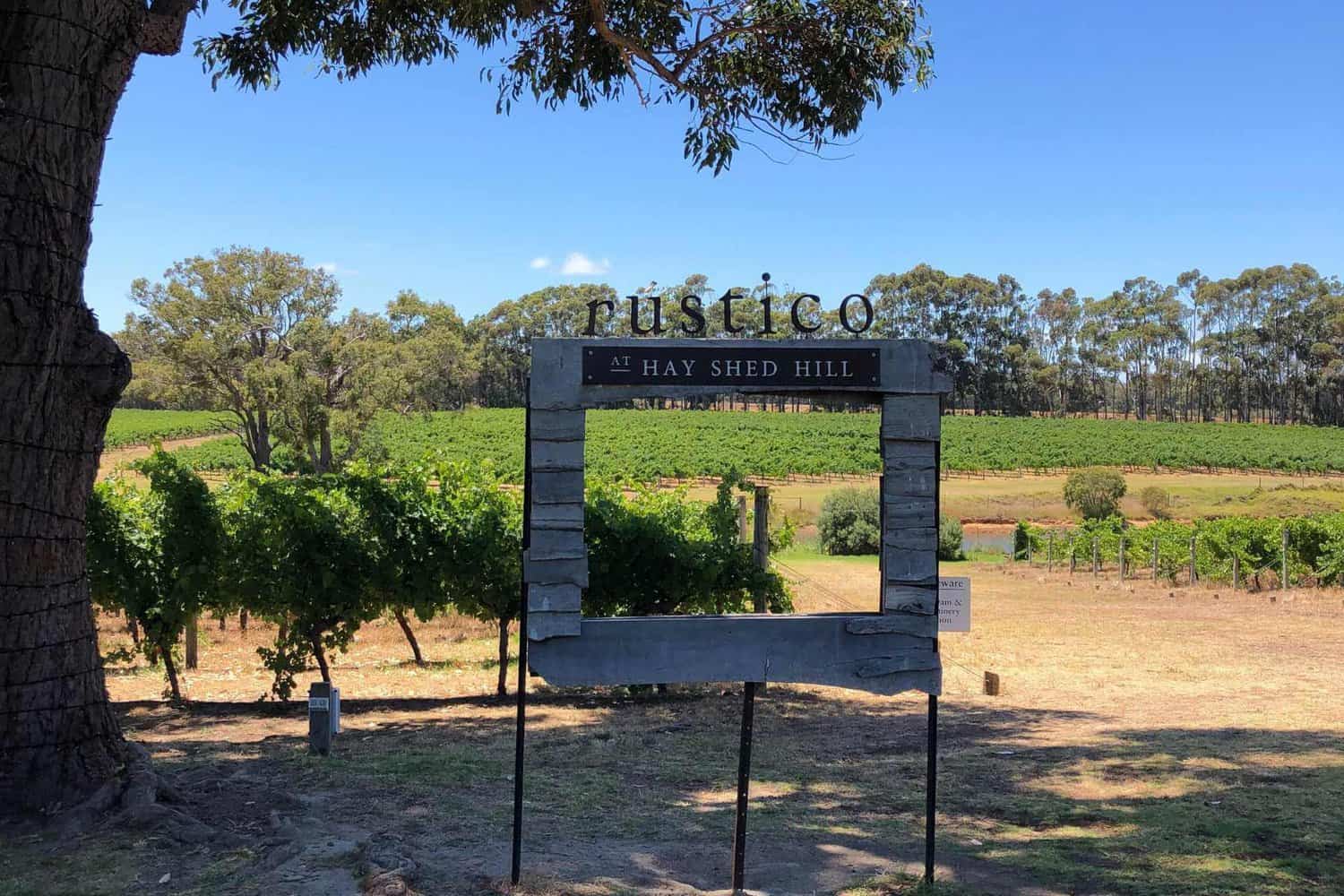 view of vineyard at Rustico/Hay Shed Hill, on a wine tours Busselton
