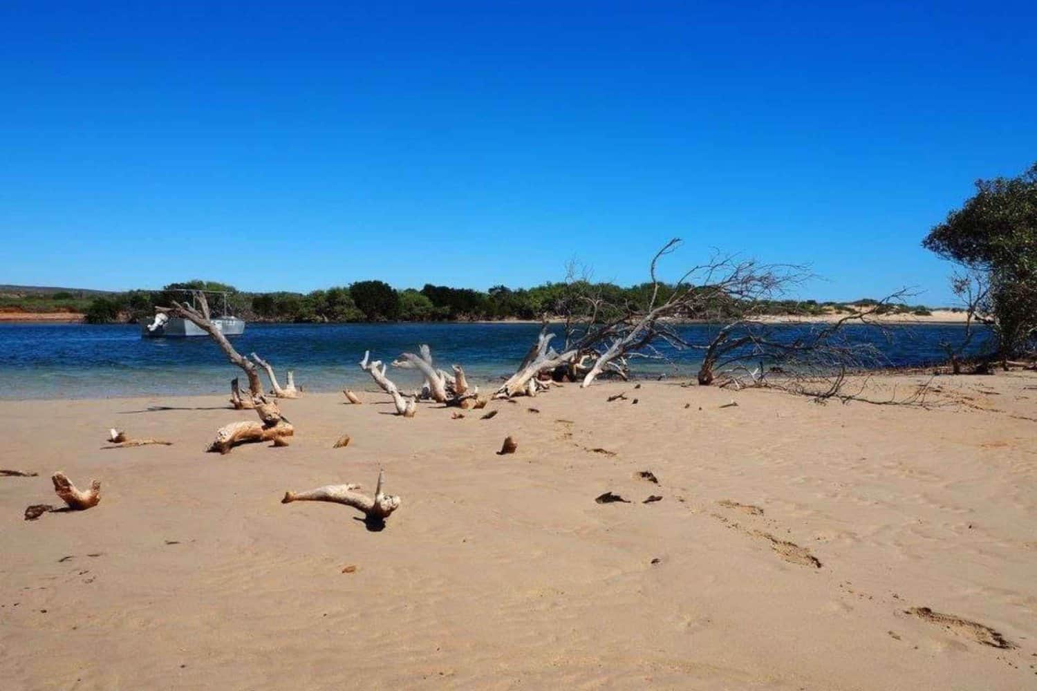 Picturesque scene from Perth to Exmouth journey, featuring a sandy beach, trees, and a boat gently floating on serene waters