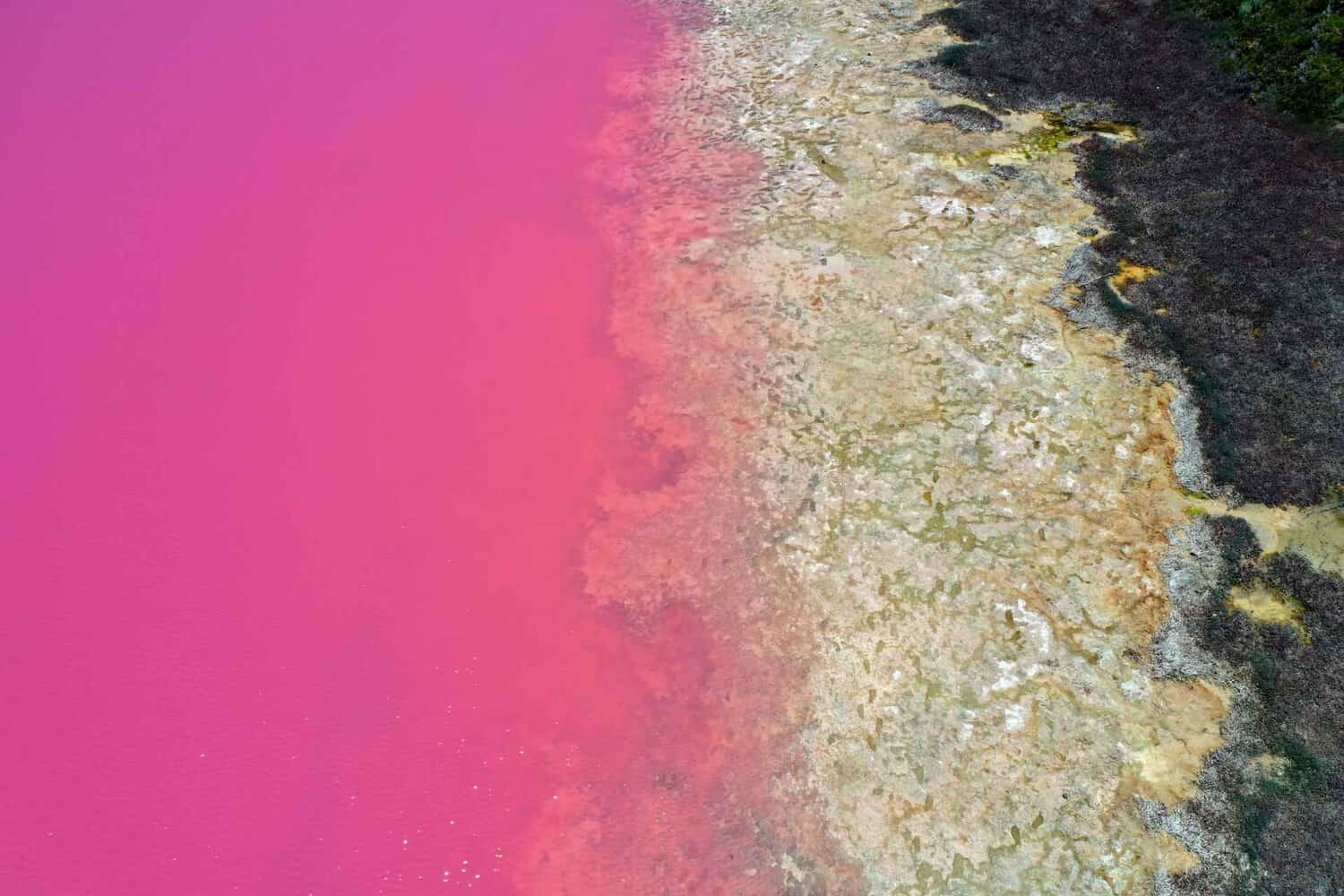 Aerial view of the striking Pink Lake or Hutt Lagoon, famous for its vibrant hue, contrasting with the natural land colors at the shore, a natural wonder located in Western Australia.