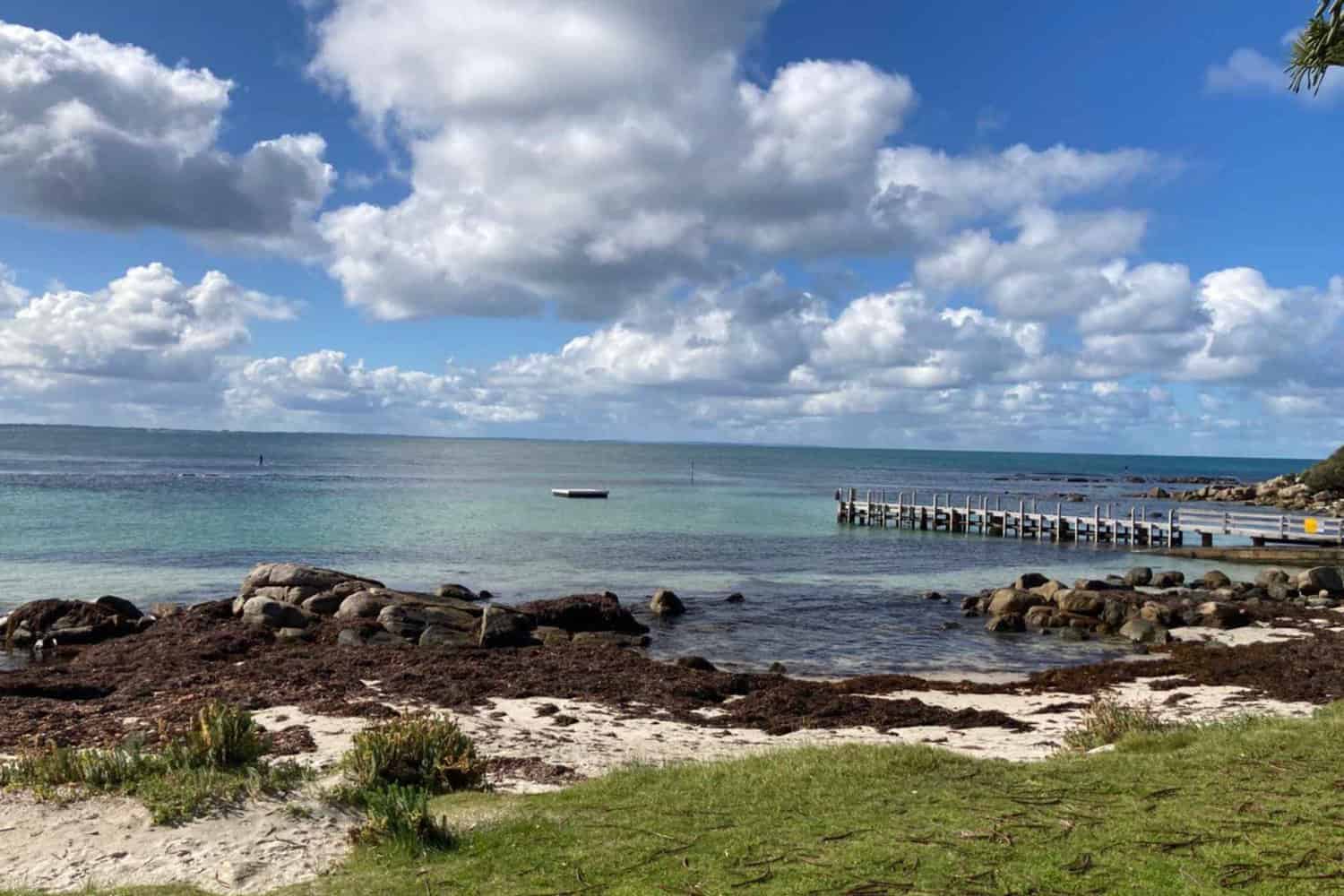 A tranquil view of Flinders Bay in Augusta, where a grassy shoreline adorned with rocks and seaweed leads to a calm sea, with a jetty extending into the water and a boat moored nearby, all under a dynamic sky of scattered clouds.