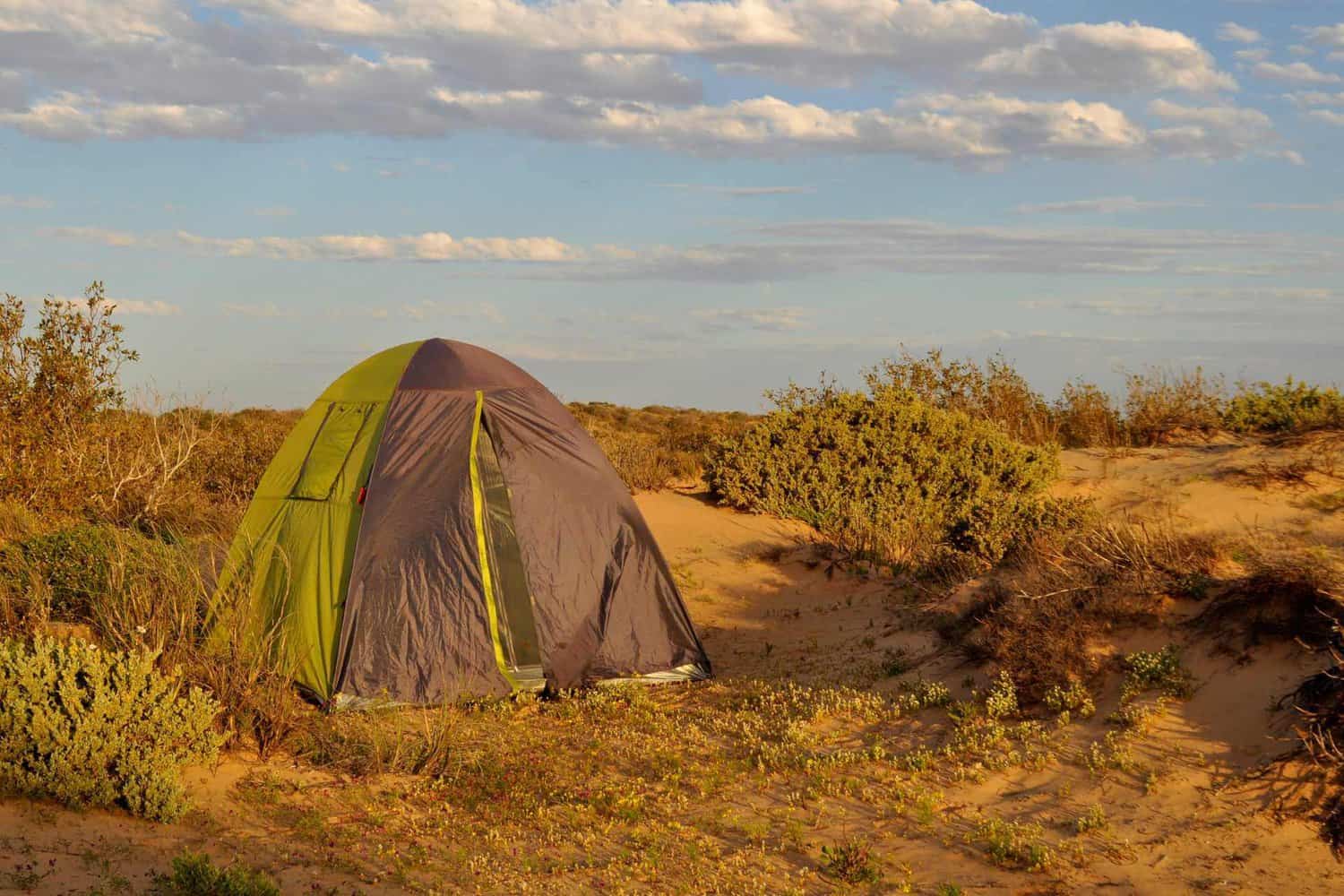 A dome tent pitched amidst the sandy dunes with coastal shrubbery, basking in the golden light of a setting sun. 
