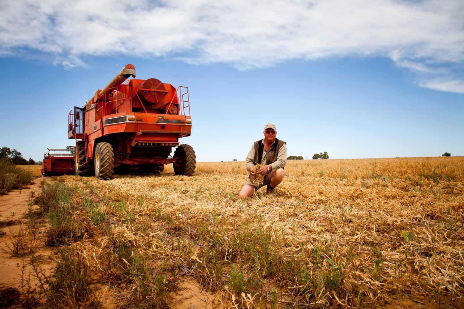 A farmer kneels in a harvested wheat field, holding the crop in his hand, with a large red combine harvester parked behind him under a vast, cloud-streaked sky. 